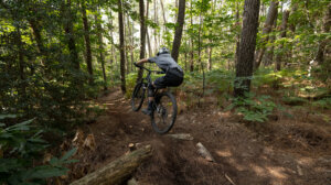 Plusation VTT en forêt